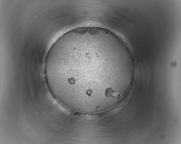 X0000112751374200909101530