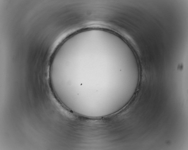 X0000112751376200909101529