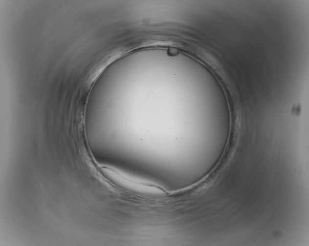 X0000112751377200909101529