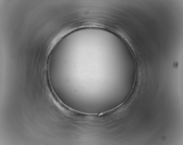 X0000112751379200909101529