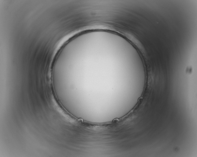 X0000112751380200909101529