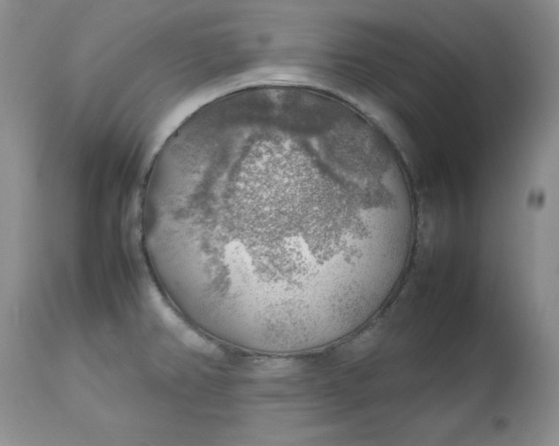 X0000112751382200909101529