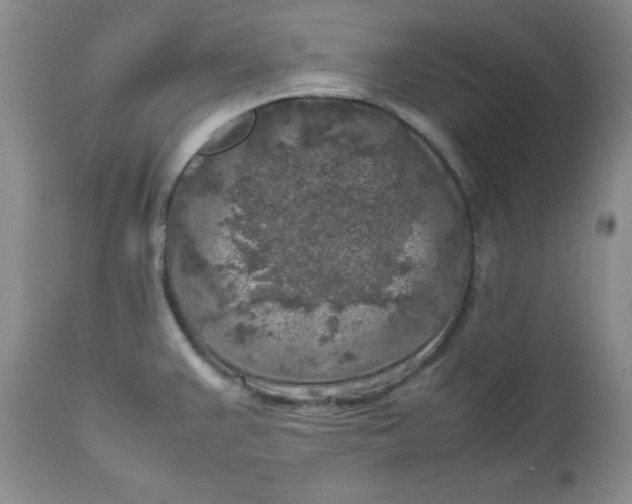 X0000112751383200909101529