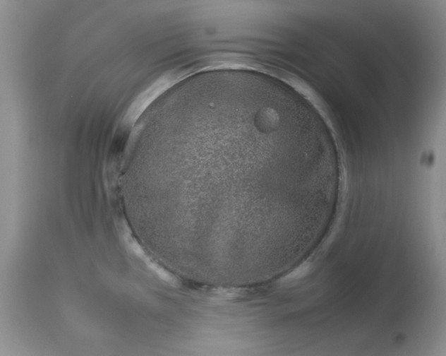 X0000112751385200909101529