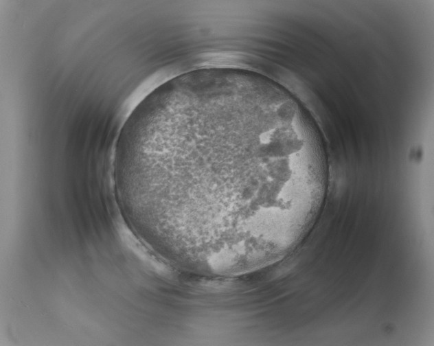 X0000112751386200909101529