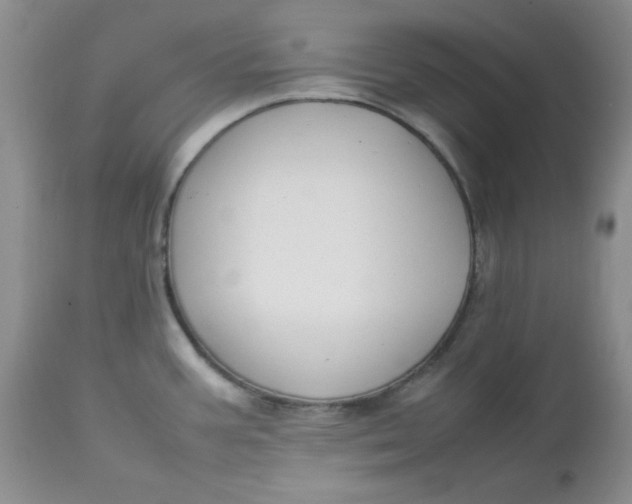 X0000112751387200909101529