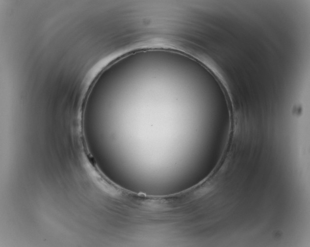 X0000112751388200909101529