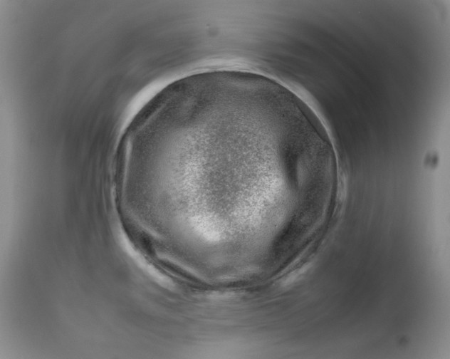 X0000112751389200909101529