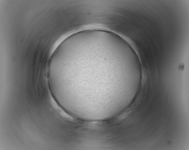 X0000112751390200909101529