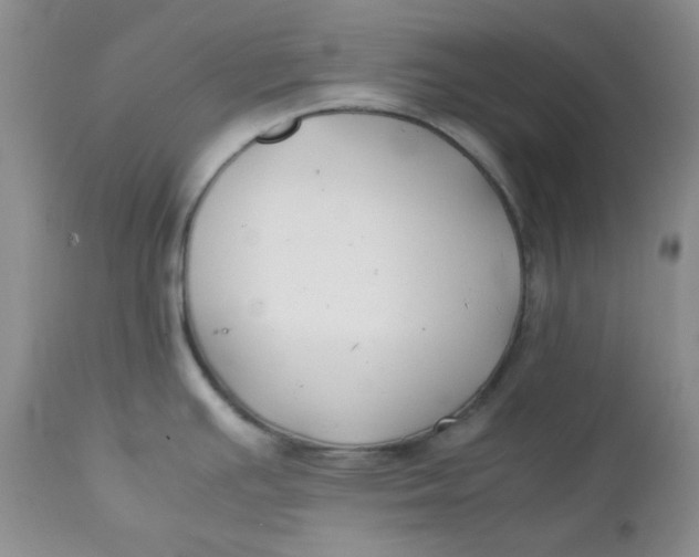 X0000112751391200909101529