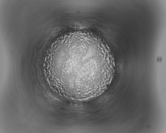 X0000112751393200909101529