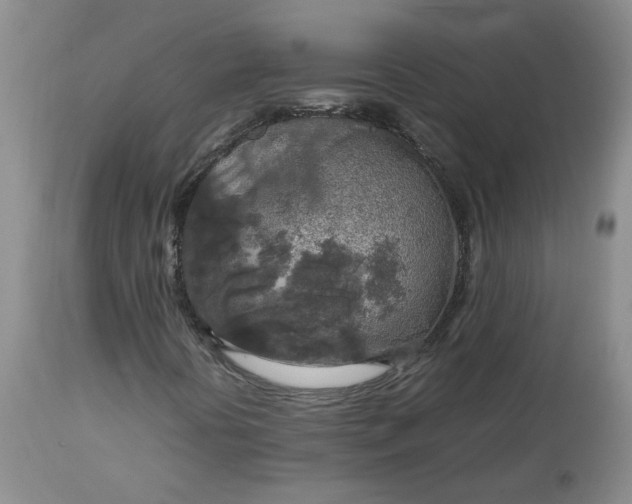 X0000112751394200909101529