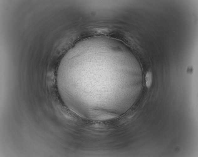 X0000112751395200909101529