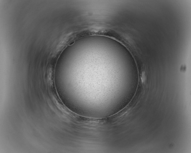 X0000112751396200909101529