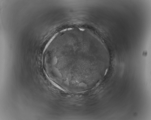 X0000112751397200909101529