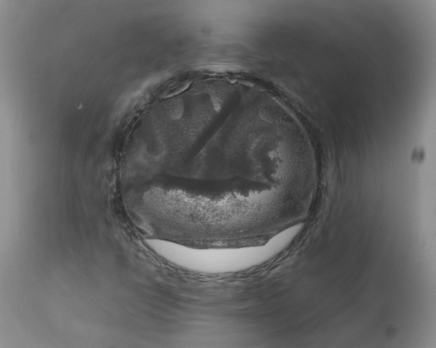 X0000112751398200909101529