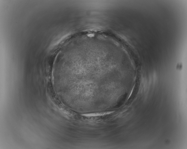 X0000112751399200909101529