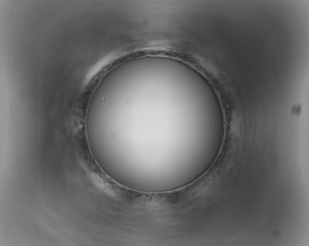 X0000112751400200909101529