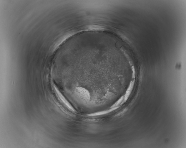 X0000112751401200909101529