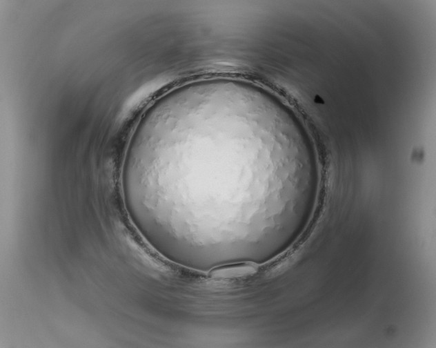 X0000112751402200909101529