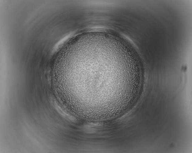 X0000112751403200909101529