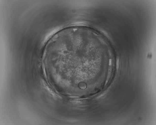 X0000112751405200909101529