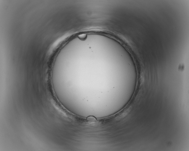 X0000112751406200909101529