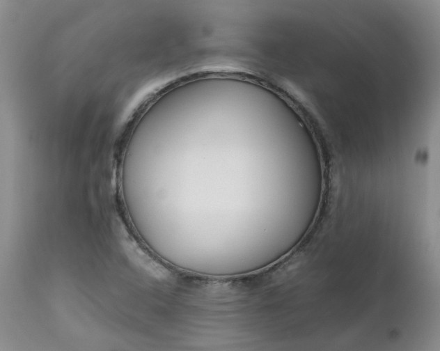 X0000112751408200909101529