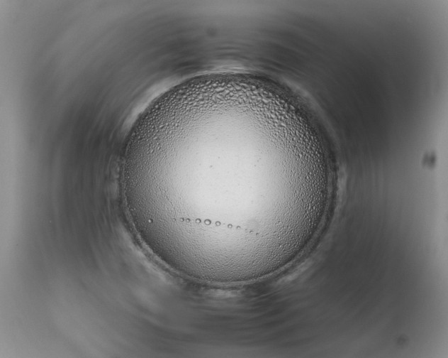 X0000112751409200909101529