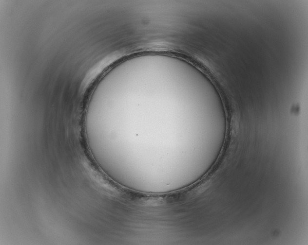 X0000112751410200909101529