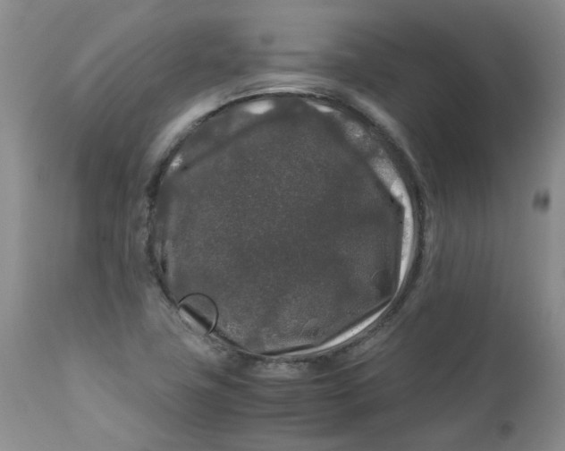 X0000112751411200909101529