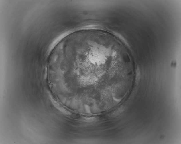 X0000112751413200909101529