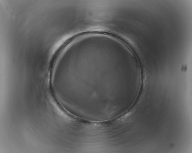 X0000112751414200909101529