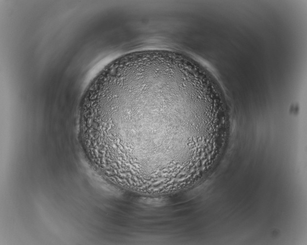 X0000112751415200909101529