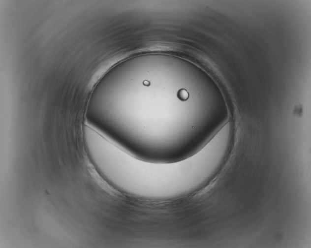 X0000112751417200909101529