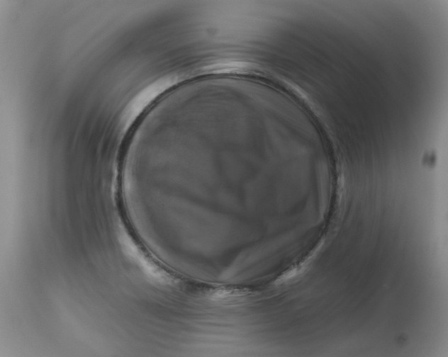 X0000112751418200909101529