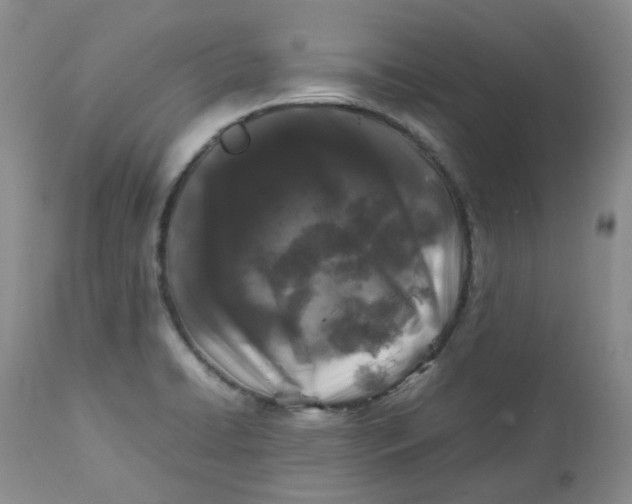 X0000112751422200909101529