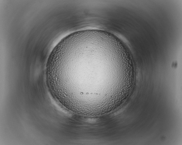 X0000112751423200909101529