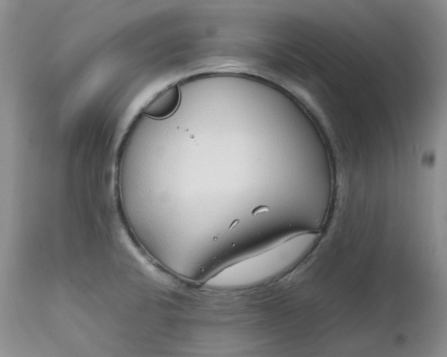 X0000112751424200909101529