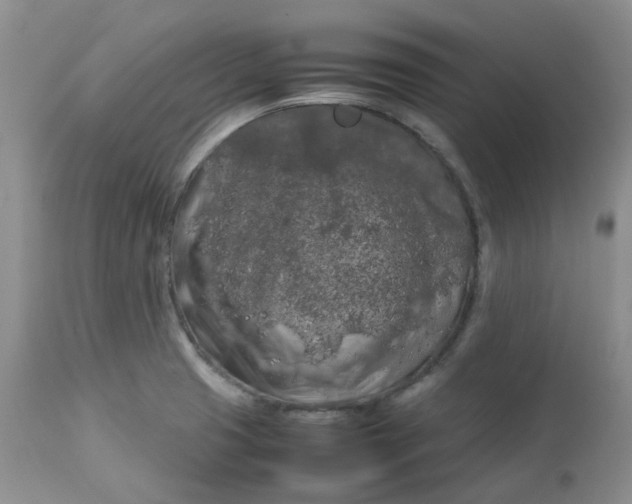 X0000112751425200909101529