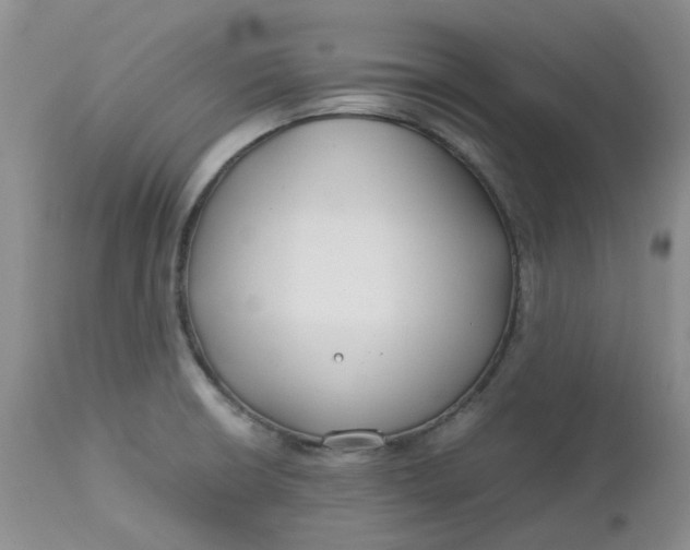 X0000112751426200909101529