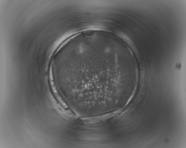 X0000112751427200909101529