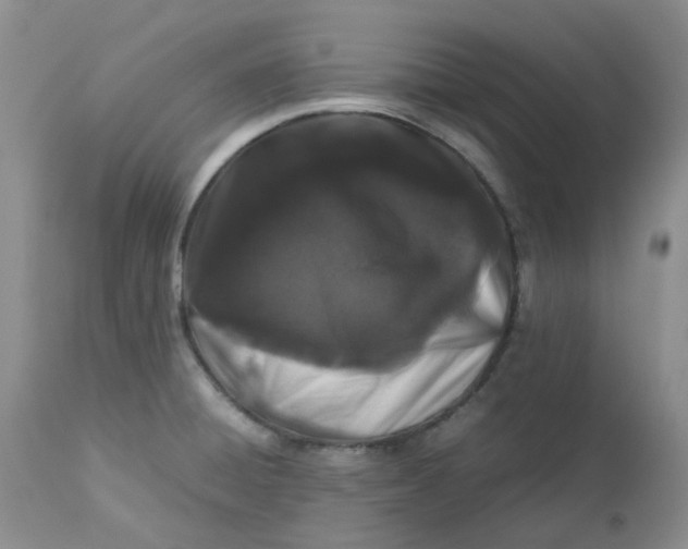 X0000112751428200909101529