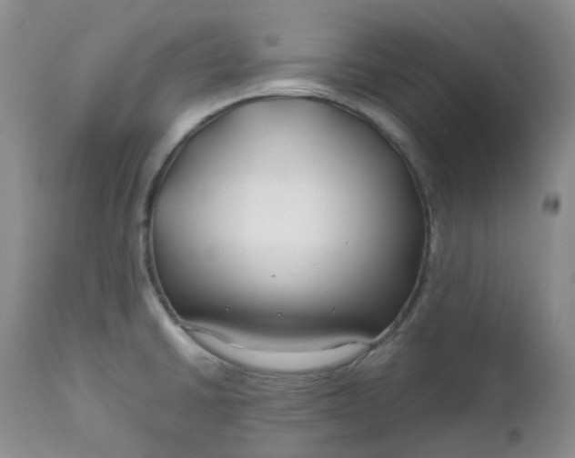 X0000112751430200909101529