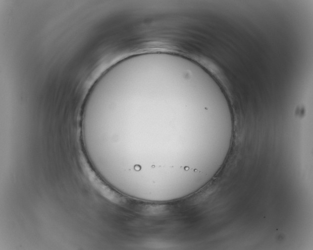 X0000112751431200909101529