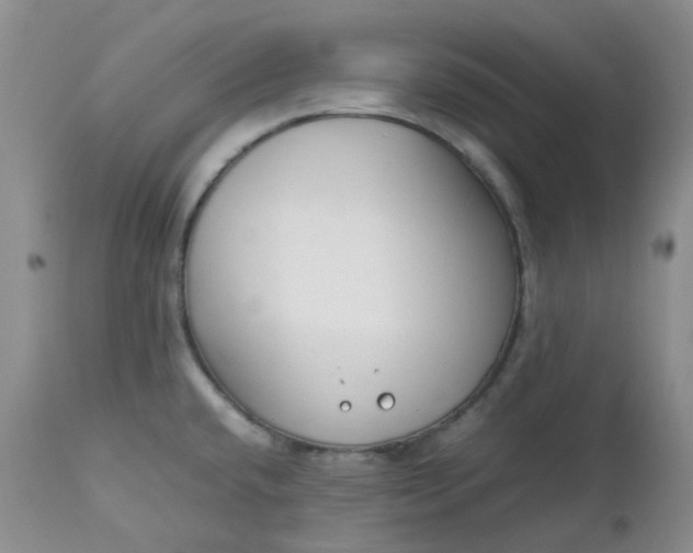 X0000112751432200909101529