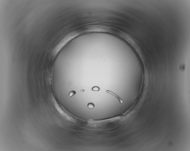 X0000112751433200909101529