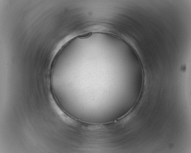 X0000112751434200909101529