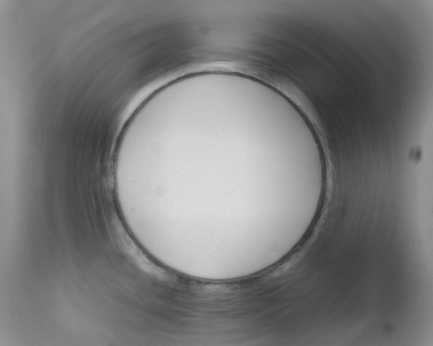 X0000112751436200909101529