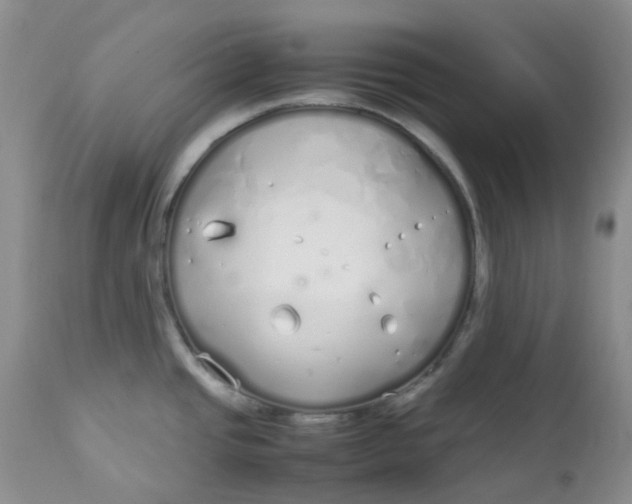 X0000112751437200909101529